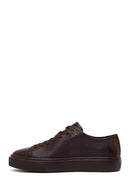 Male Brown Lace-Up Thick-Soled Leather Sneaker | Derimod Male Brown Lace-Up Thick-Soled Leather Sneaker | Derimod