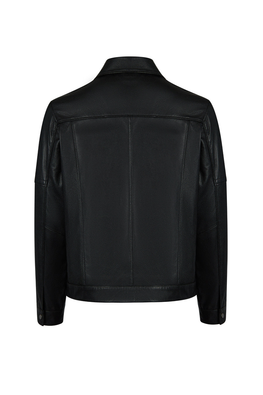 Bastoni Male Black Shirt Collar Leather Jacket