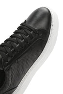 Erkek Siyah Bağcıklı Deri Sneaker | Derimod