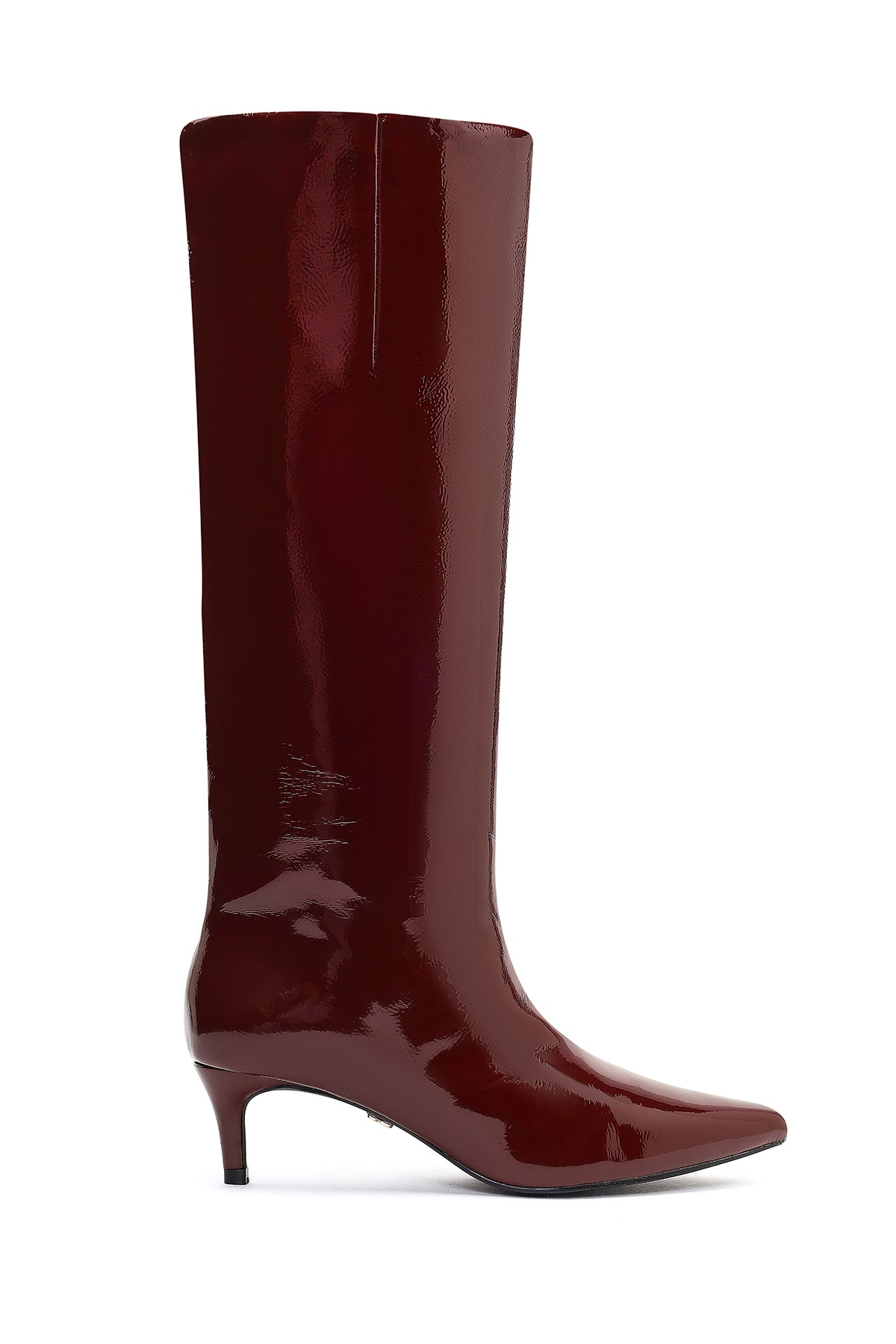Kadın Bordo Kısa İnce Topuklu Rugan Çizme 25WFE481416 | Derimod
