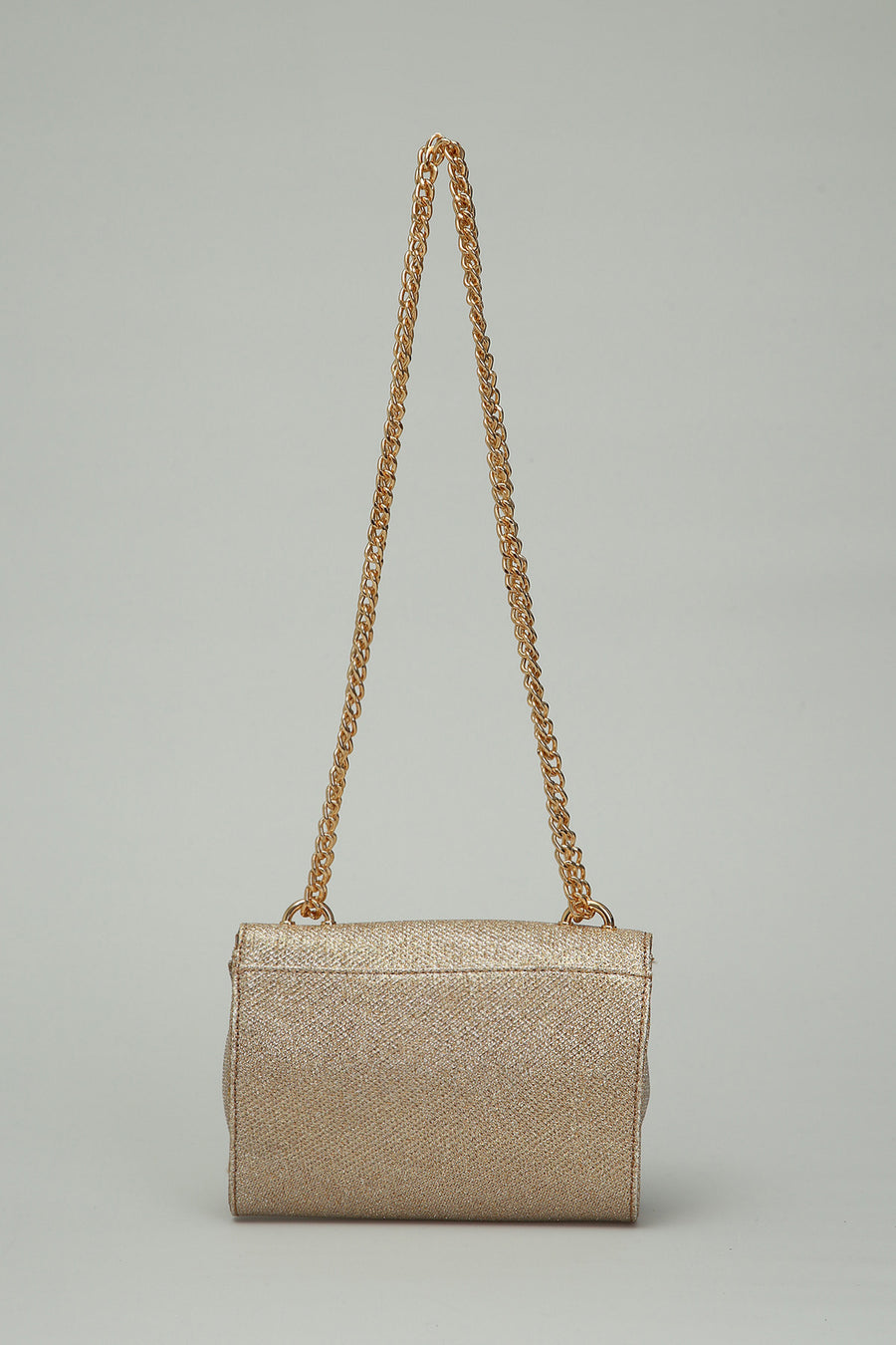 Silvery Gold Women's Bag