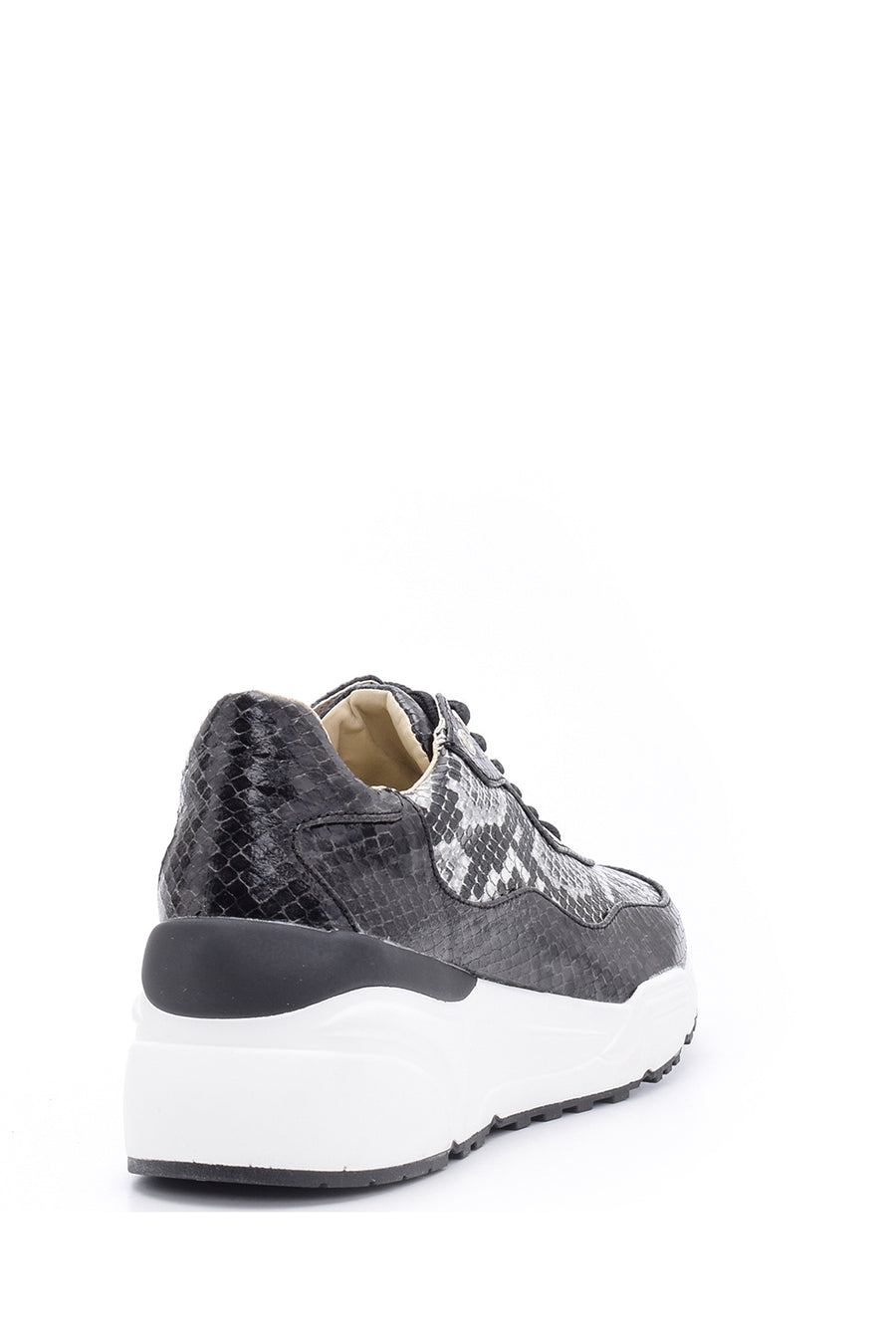 Women's Snake Pattern Detailed Sneaker