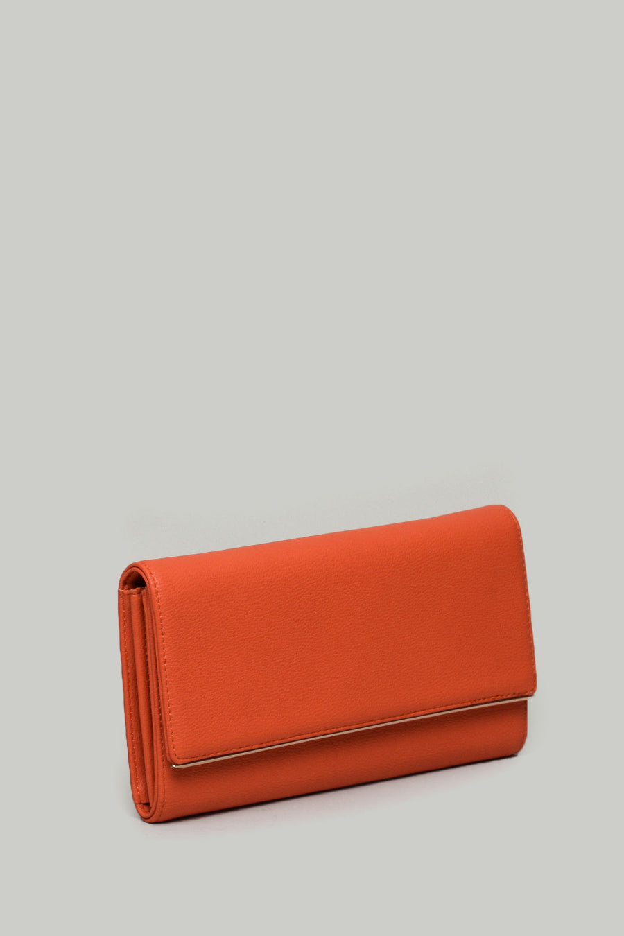 Orange Woman Portfolio