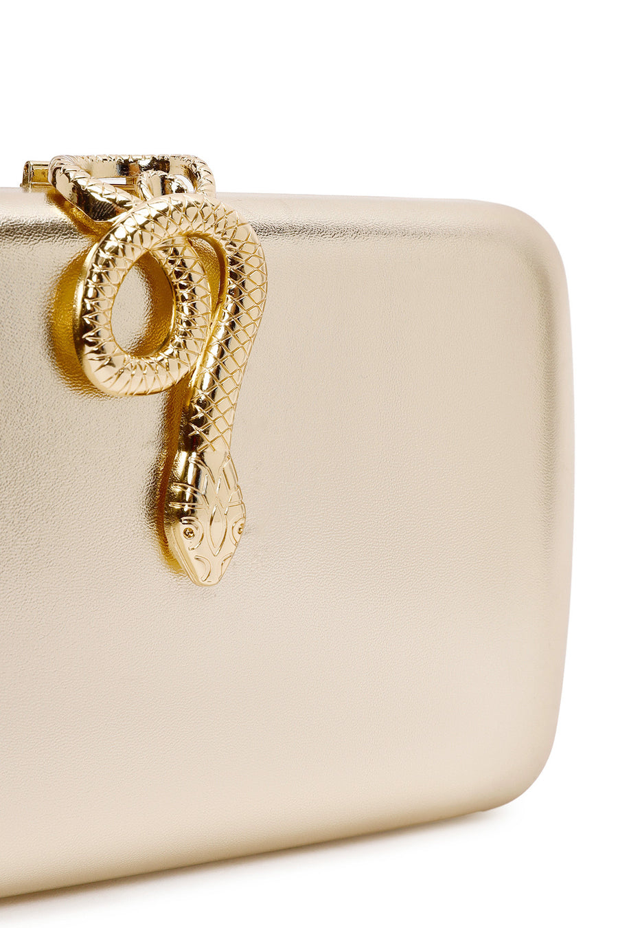 Women's Gold Accessory Detailed Long Chain Strap Mini Clutch Bag