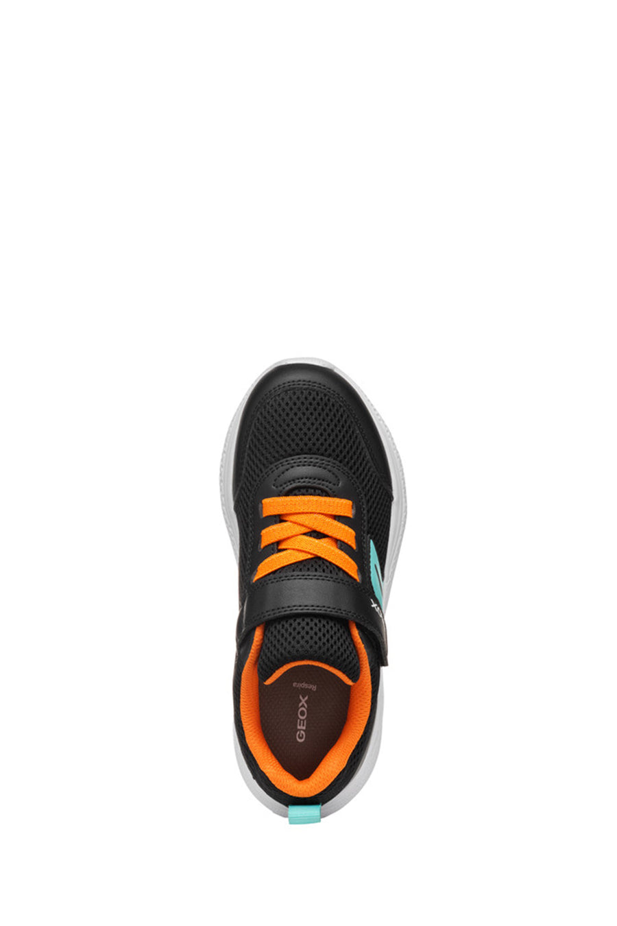 Geox Boys Black Nero Sneakers