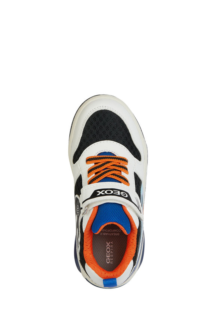Geox Boy's Multicolored Strappy Sneakers