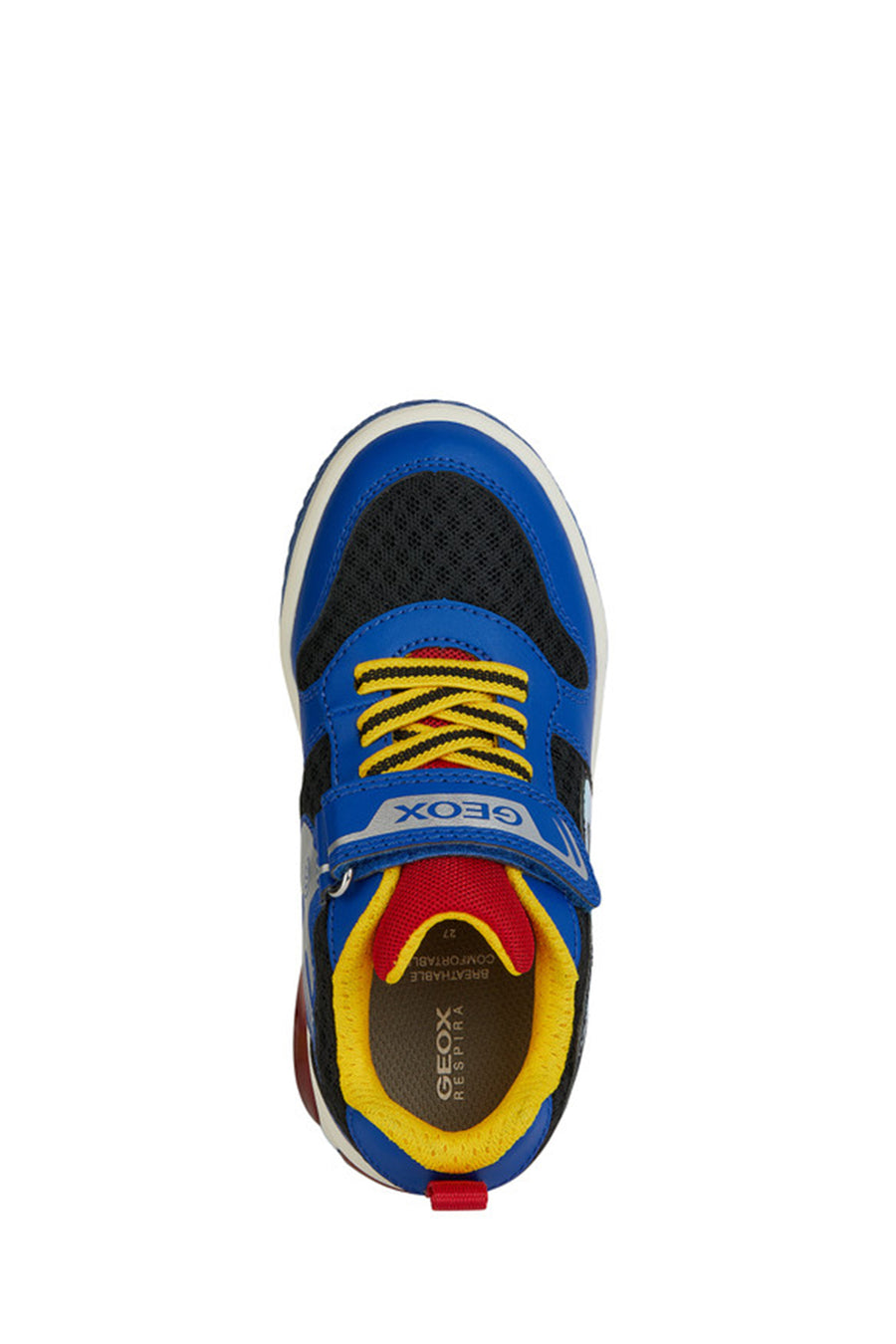 Geox Boy's Multicolored Strappy Sneakers