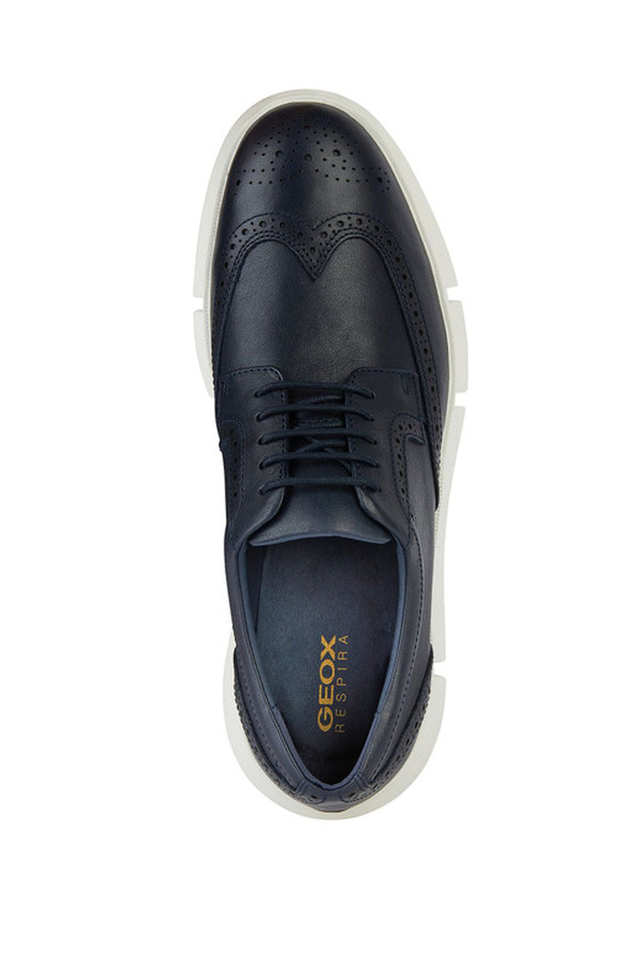 Geox Men's Navy Blue Adacter Leather Casual Shoes