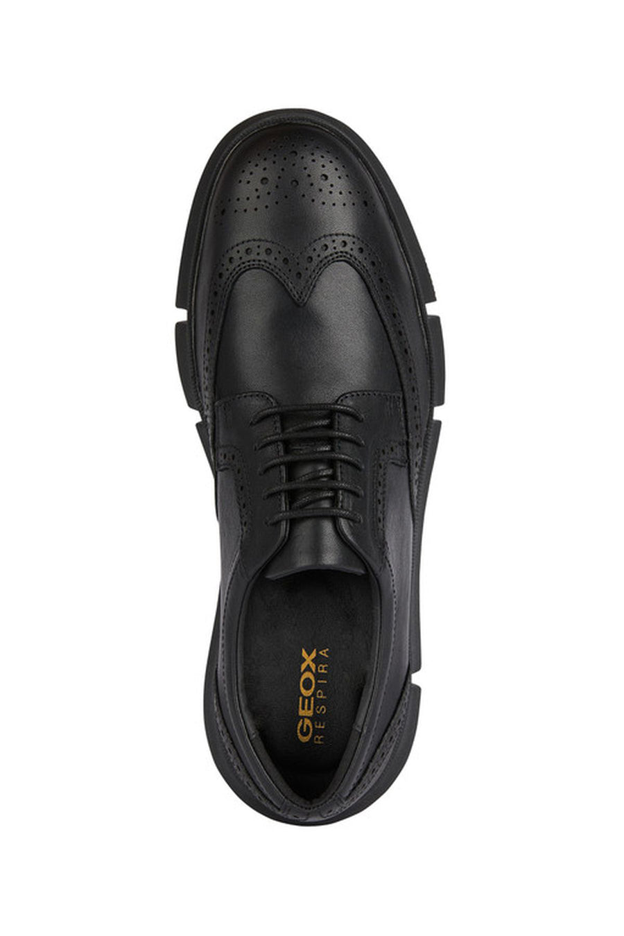 Geox Men's Black Adacter Lace-up Leather Casual Shoes