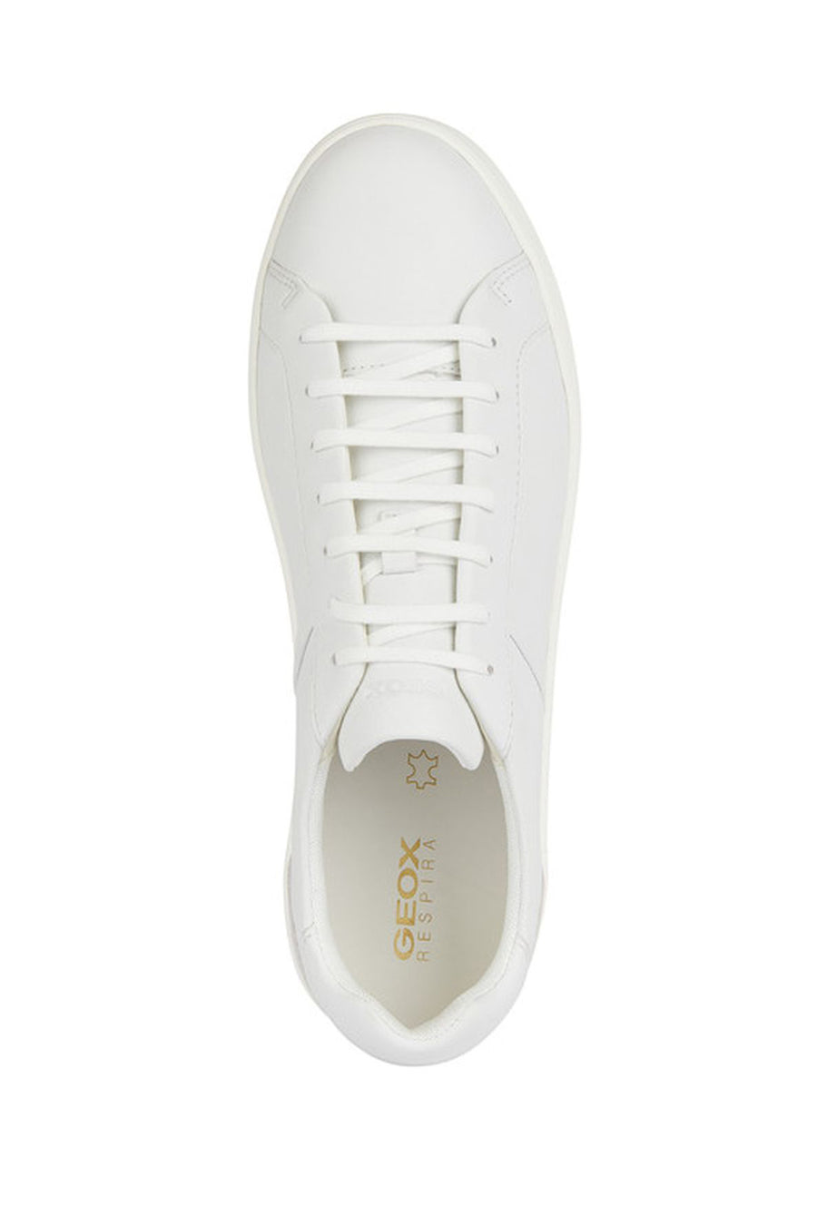 Geox Men's White Regio Lace-up Leather Sneaker