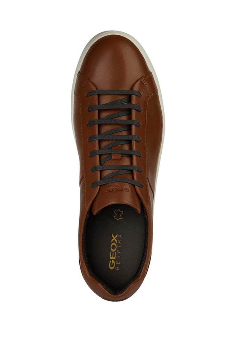 Geox Men's Brown Regio Lace-up Leather Sneaker