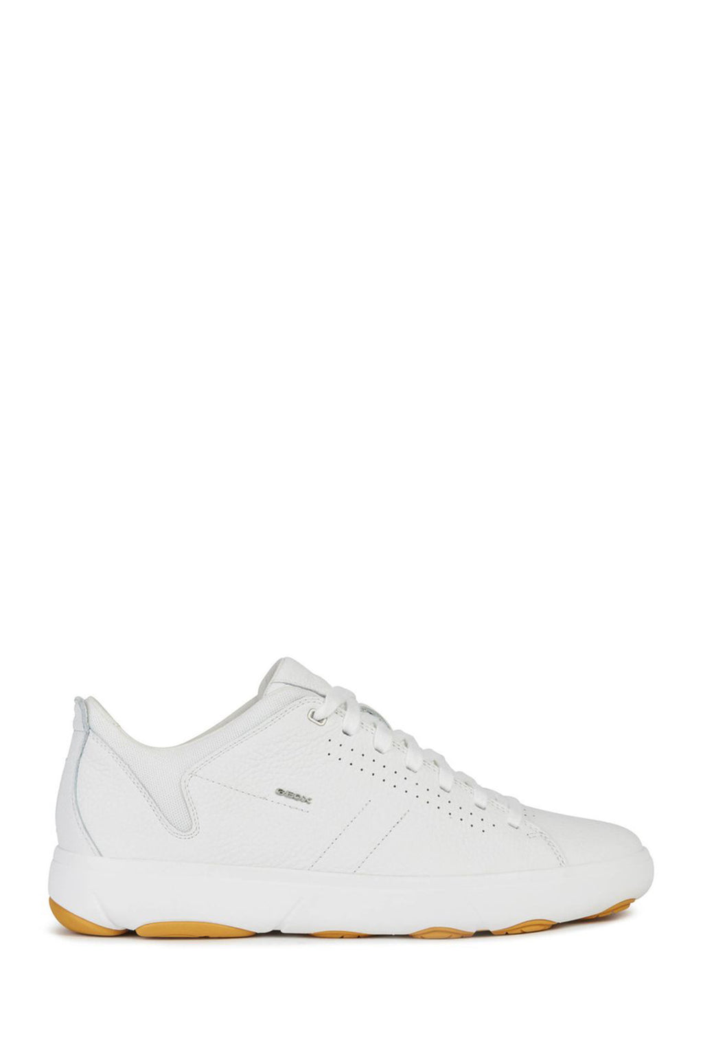 Erkek Geox Nebula Sneaker