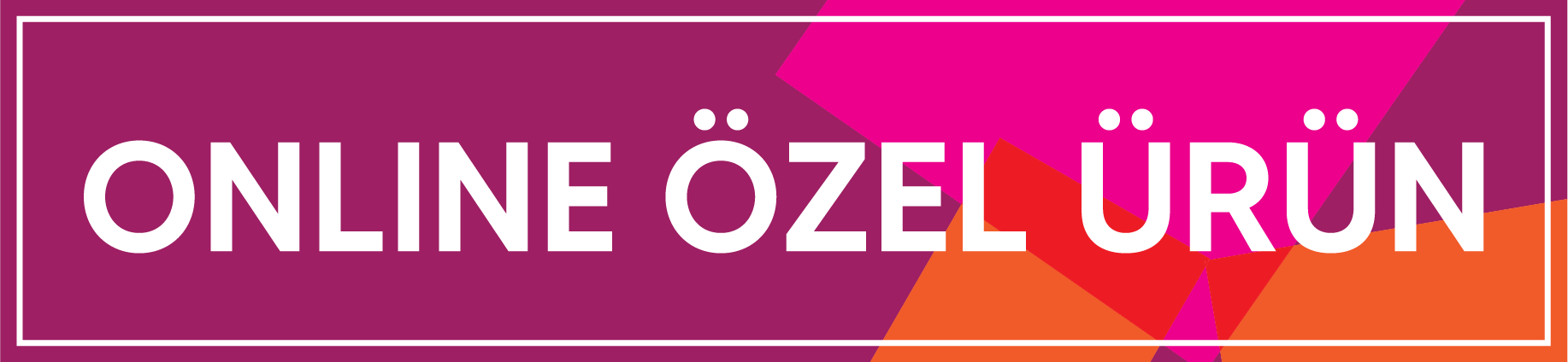 web-ozel-logo